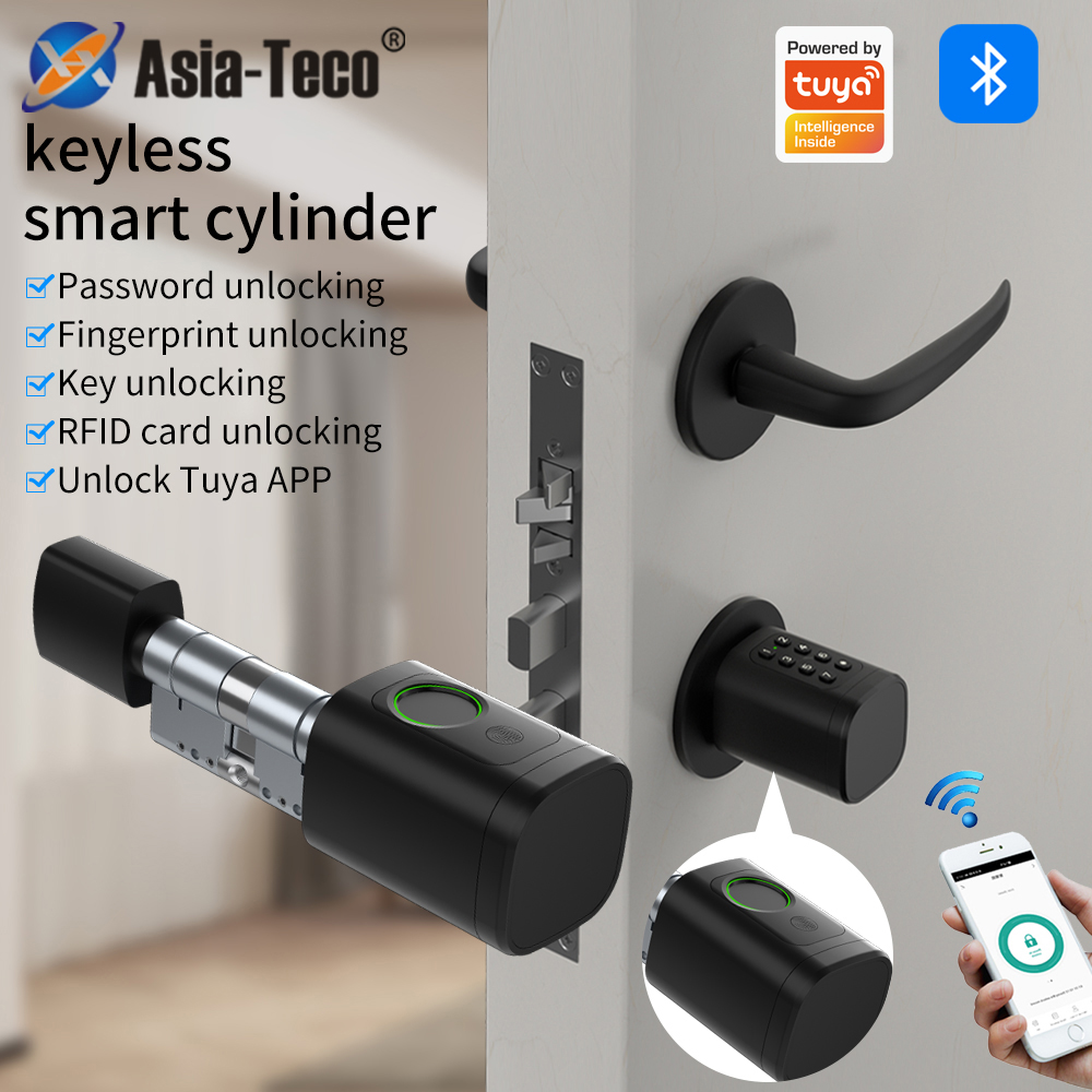 Home Office Immigration - Support Tuya App Intelligent Plug-in Lock