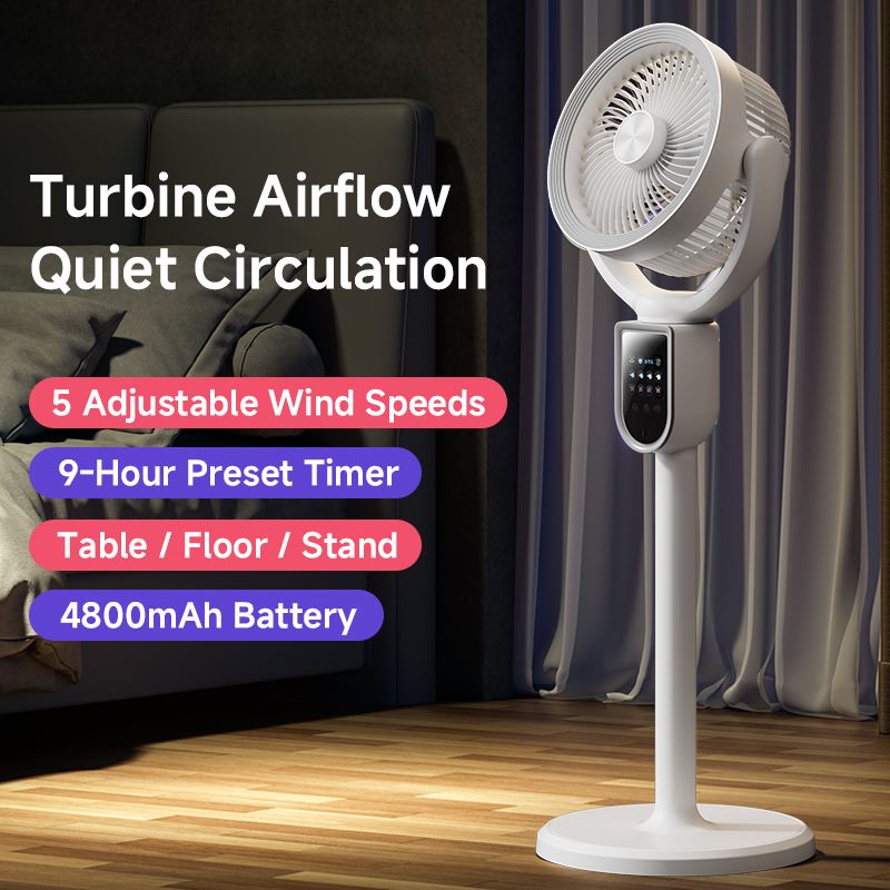 Modern 3-in-1 Air Circulator F - Home Office Hours 评论和价格