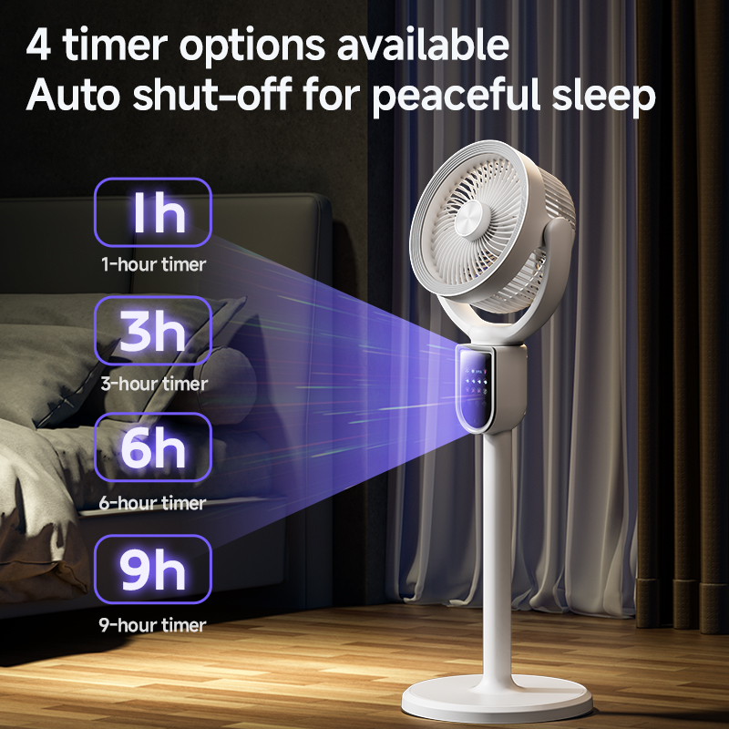 Modern 3-in-1 Air Circulator F - Home Office Hours 评论和价格